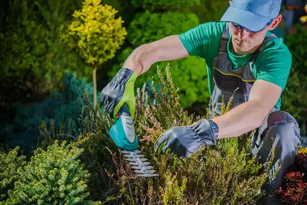 landscaping services Barnum Island